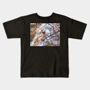 Bohemian Waxwing Kids T-Shirt